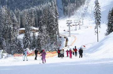 Фото номера Дом с 7 комнатами Дома для отпуска Goryanka Hotel г. Микуличин 100