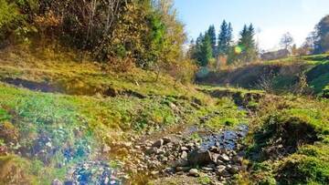 Фото номера Дом для отпуска Дома для отпуска Karpaty Gutsulska Sadyba г. Микуличин 15