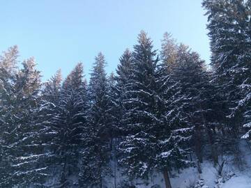 Фото номера Дом для отпуска Дома для отпуска Karpaty Gutsulska Sadyba г. Микуличин 32