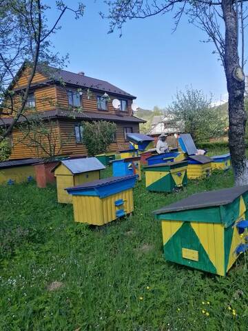 Фото номера Дом с 4 спальнями Дома для отпуска Medova Hata г. Микуличин 9