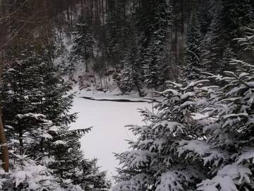 Фото номера Коттедж с 3 спальнями Дома для отпуска Зарінок карпат г. Микуличин 9