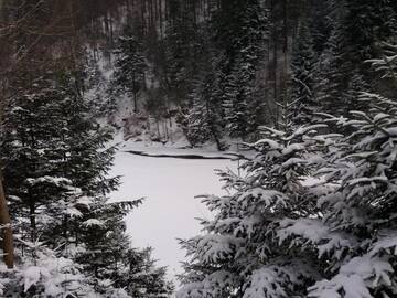 Фото номера Коттедж с 3 спальнями Дома для отпуска Зарінок карпат г. Микуличин 86